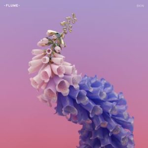 FLUME - Skin - Released: 5/27/16