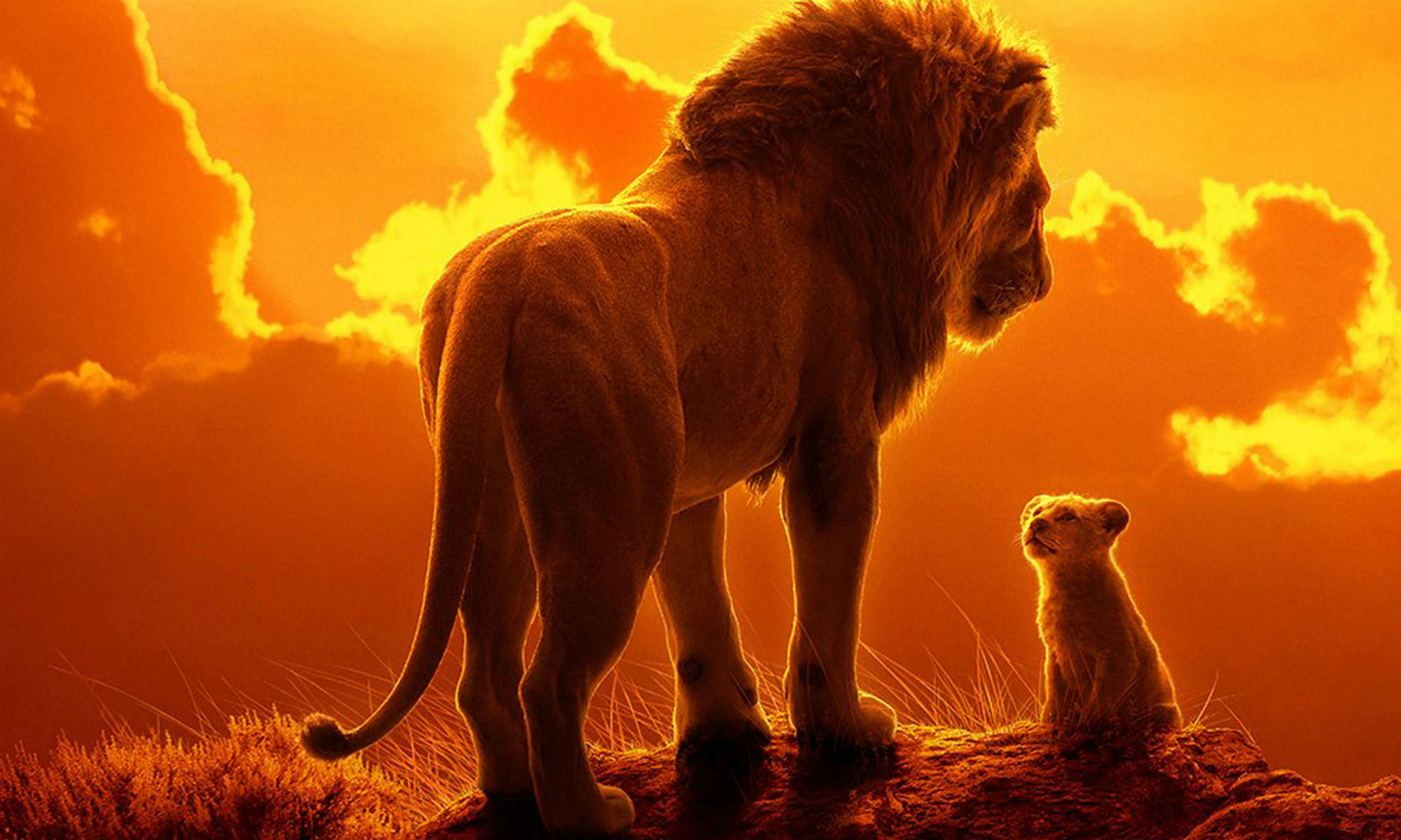 THE LION KING [4DX Review]: No King, But A Formidable Prince.